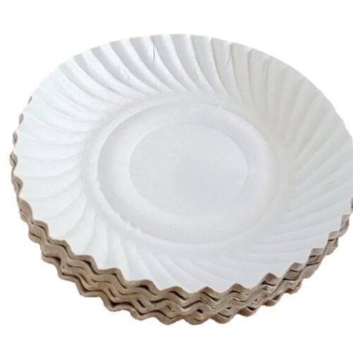 Disposable Paper Plates